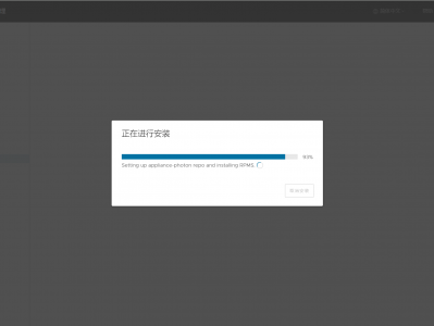 【VMware vCenter】更新VCSA补丁到8.0 U2，一直卡在93%，最后提示“Failed to perform cleanup”。