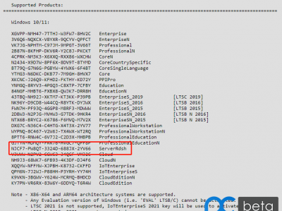 关于Win10 ServerRdsh版本问题