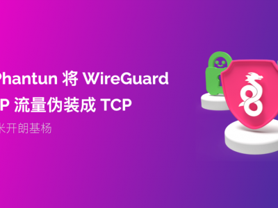 突破运营商 QoS 封锁，WireGuard 真有“一套”！