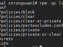 openswan & strongswan