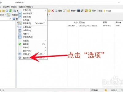 winscp 显示远端隐藏文件