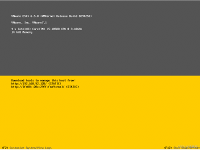 ESXI 主机启用 Shell 连接