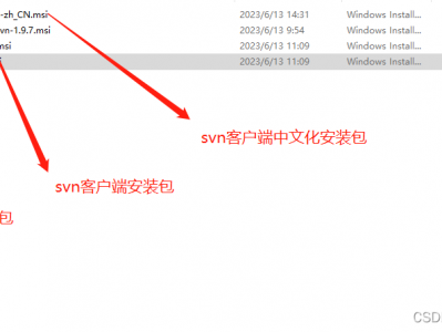 windows环境下的svn客户端（VisualSVN Server），服务端（TortoiseSVN），中文化（TortoiseSVN LanguagePack_1.9.7.2）安装和使用（超详细）