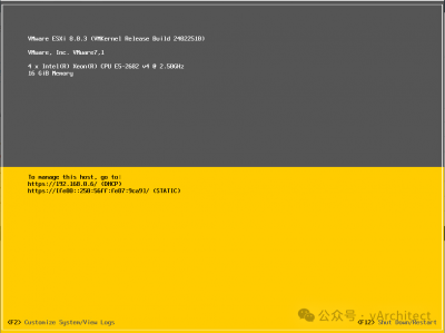 esxi 物理内存不够用，nvme来当虚拟内存？