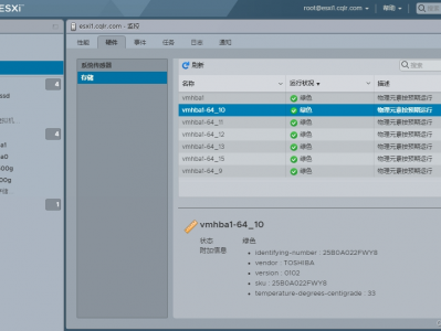 esxi 6.7u3安装lsi阵列卡管理软件