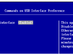 操作系统登录imm ibm usb远程查看ip