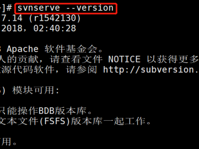 在Linux上搭建VisualSVN Server（svn服务端）