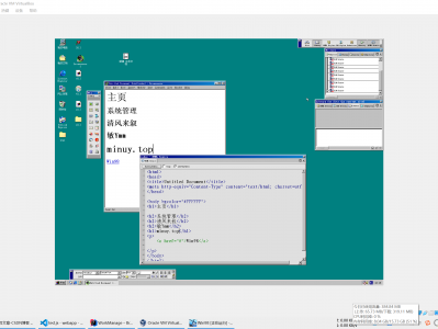【电脑】VirtualBox 安装 Win98 写网页