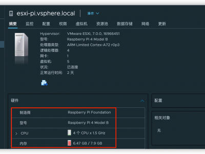 ESXi on ARM中安装Raspios-buster-arm64