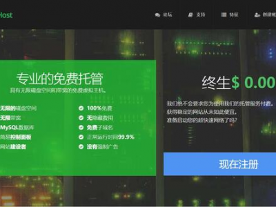 【白嫖】永久免费的虚拟主机合集