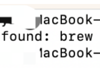 mac安装brew小白指引