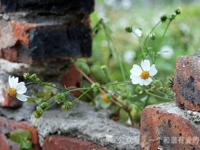 会者定离，一期一祈