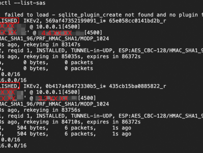 阿里云 VPN网关 IPsec-VPN 操作指南 本地网关设备配置示例 strongSwan配置示例 