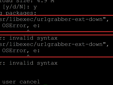 File "/usr/libexec/urlgrabber-ext-down", line 28 except OSError, e: