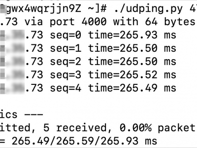 Linux系统udping命令