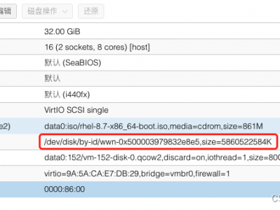 pve透传磁盘