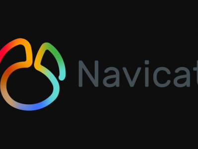 Navicat 15 输入密钥出现叉的解决办法 Navicat 无限白嫖教程