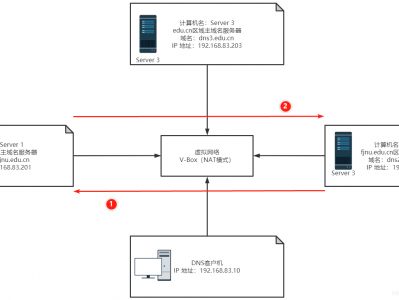 【Windows Server 2019】DNS服务器的配置与管理——主、辅域名服务器