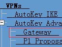 Juniper-SSG-策略模式的IPSEC-VPN之配置