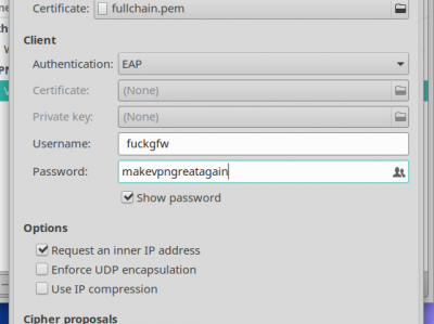 在 IPv4/IPv6 双栈网络环境下配置基于 strongSwan 的 IPsec VPN