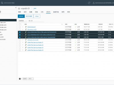 【VMware vSphere】vCLS 和 FSVM代理虚拟机的默认用户名和密码。