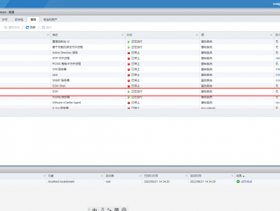 vmware esxi 7 直通GPU配置