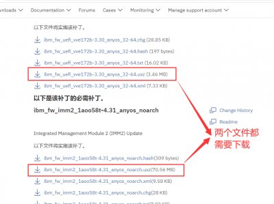 IBM X3650 M4  x3100 M4 / x3250 M4    微码升级（BIOS升级） 教程