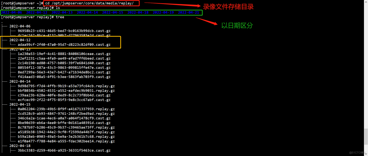 JumpServer 审计录像