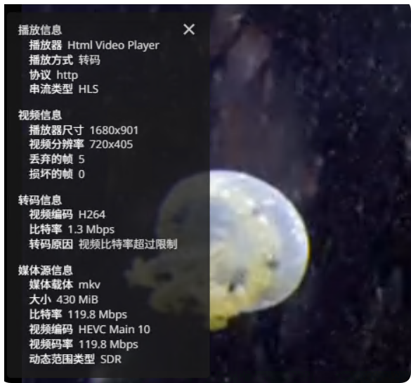 QQ_1743704488286.png