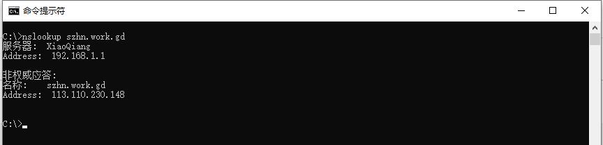 a2e16e412a836739723b4dd12af9f6ee_DNSExit_nslookup_win.png