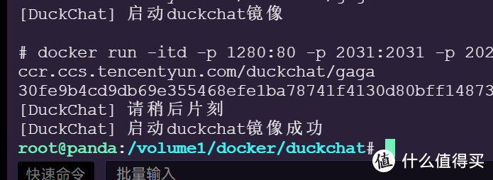 启动成功