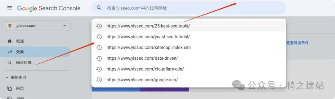 谷歌站长教程及常见问题合集 – 网址检查